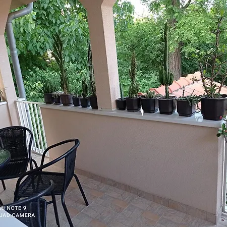 Aleks Apartament Sokobanja